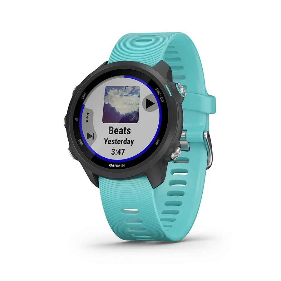 Montre Forerunner 245 Music - Image 6