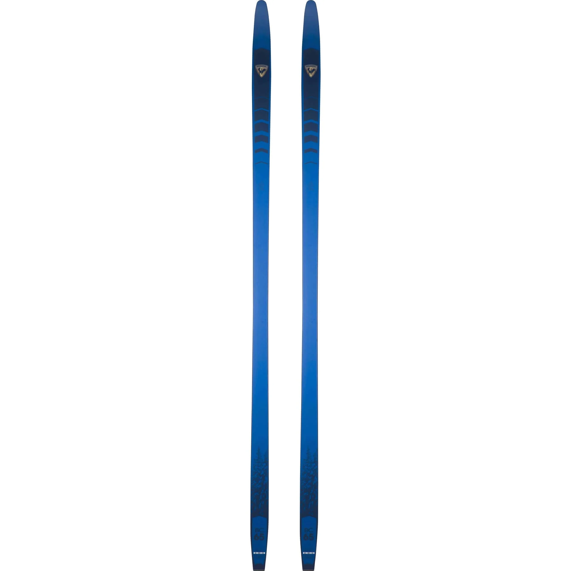 Skis de Fond BC 65 Positrack Adulte
